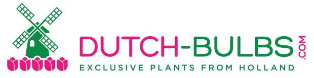 Dutch-bulbs.com - Bulbi da fiore e piante esclusive dall'Olanda Opinioni dei clienti