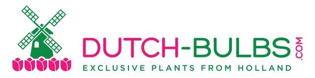 Dutch-bulbs.com - Bulbos y plantas de flor exclusivos de Holanda Opiniones de los clientes