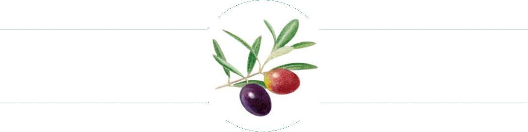 italienisches-olivenöl.com Erfahrungen